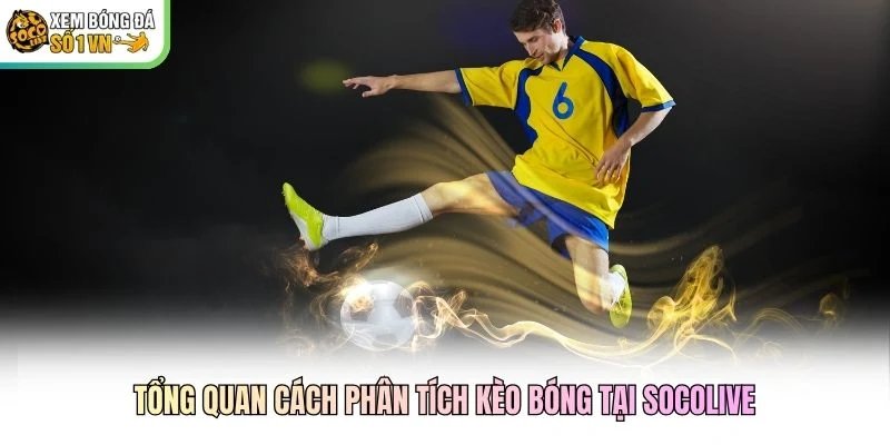 Tổng quan cách phân tích kèo bóng tại Socolive Tổng quan cách phân tích kèo bóng tại Socolive