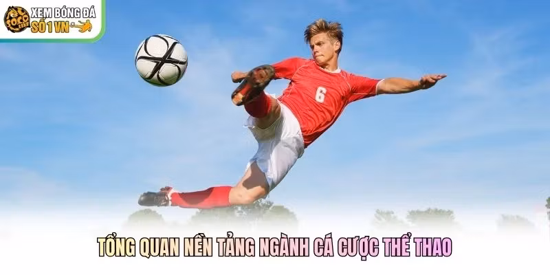 Tổng quan nền tảng ngành cá cược thể thao