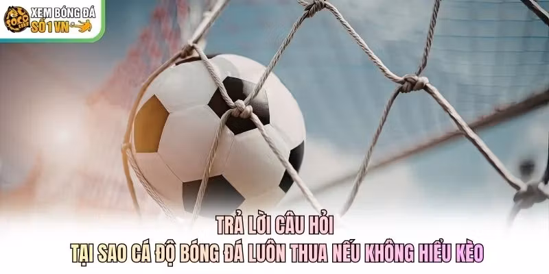 Trả lời câu hỏi tại sao cá độ bóng đá luôn thua nếu không hiểu kèo