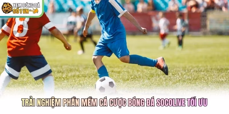 Trải nghiệm phần mềm cá cược bóng đá Socolive tối ưu