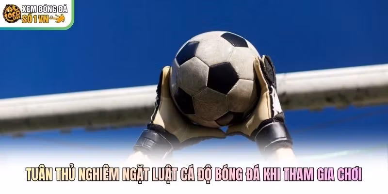 Tuân thủ nghiêm ngặt luật cá độ bóng đá khi tham gia chơi
