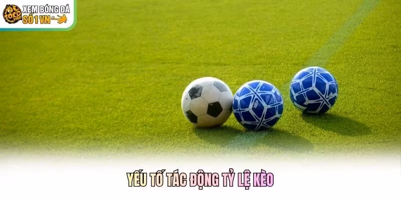 Yếu tố tác động tỷ lệ kèo Yếu tố tác động tỷ lệ kèo